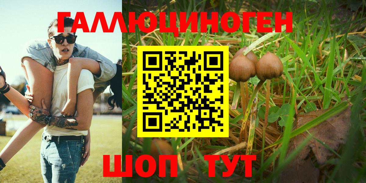 Псилоцибиновые грибы мухоморы  Вход с VPN  Брянск  цена наркотик  Псилоцибиновые грибы Magic Shrooms 
